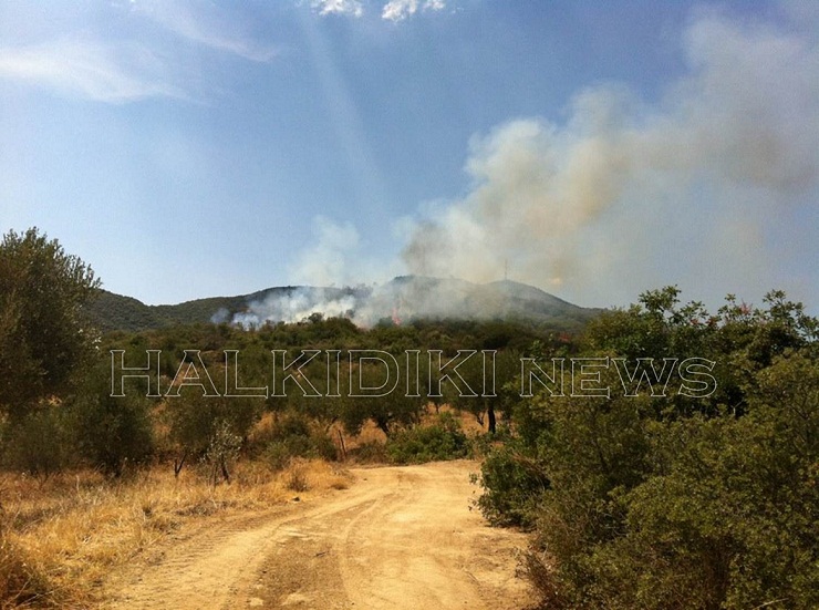 Ελέγχεται η φωτιά στην Χαλκιδική