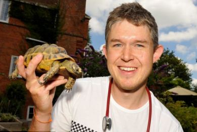 Φιλί της ζωής σε χελώνα