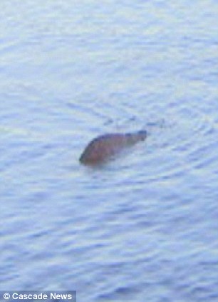 Είναι το τέρας του Λοχ Νες;