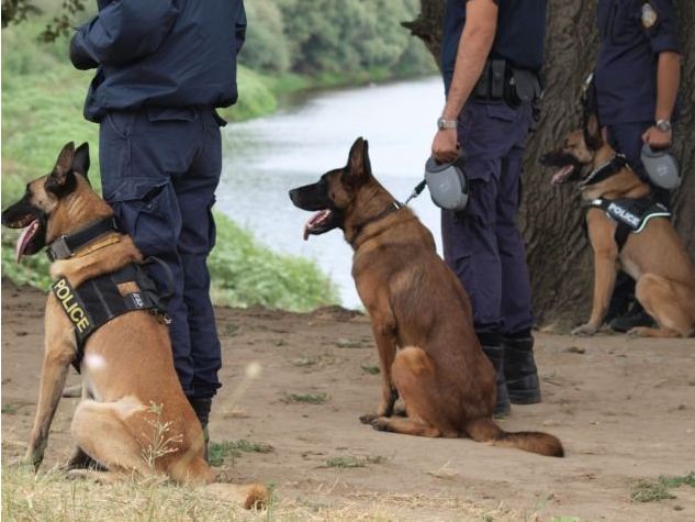 Συναγερμός στον Εβρο