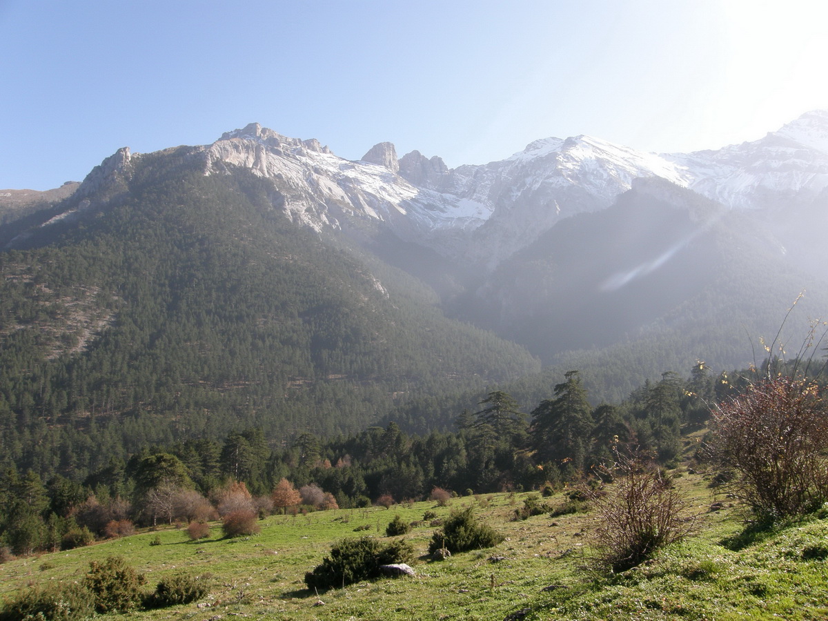 Ο ΟΚΑΝΑ στον Όλυμπο