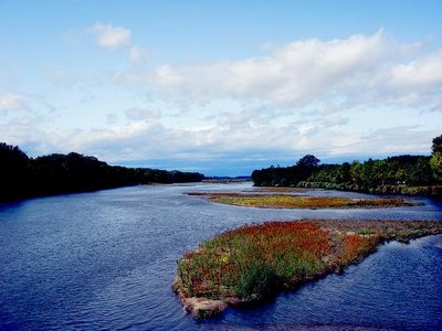 Πτώμα στον Έβρο