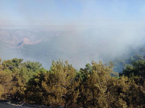 ‘Αλλα 16 πυροσβεστικά στη Χίο