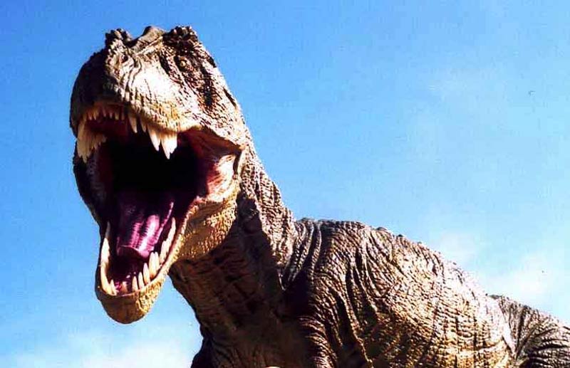 Νέο είδος δεινόσαυρου