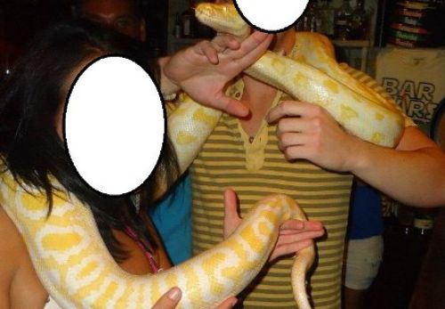 Με τον πύθωνα στο κρατητήριο