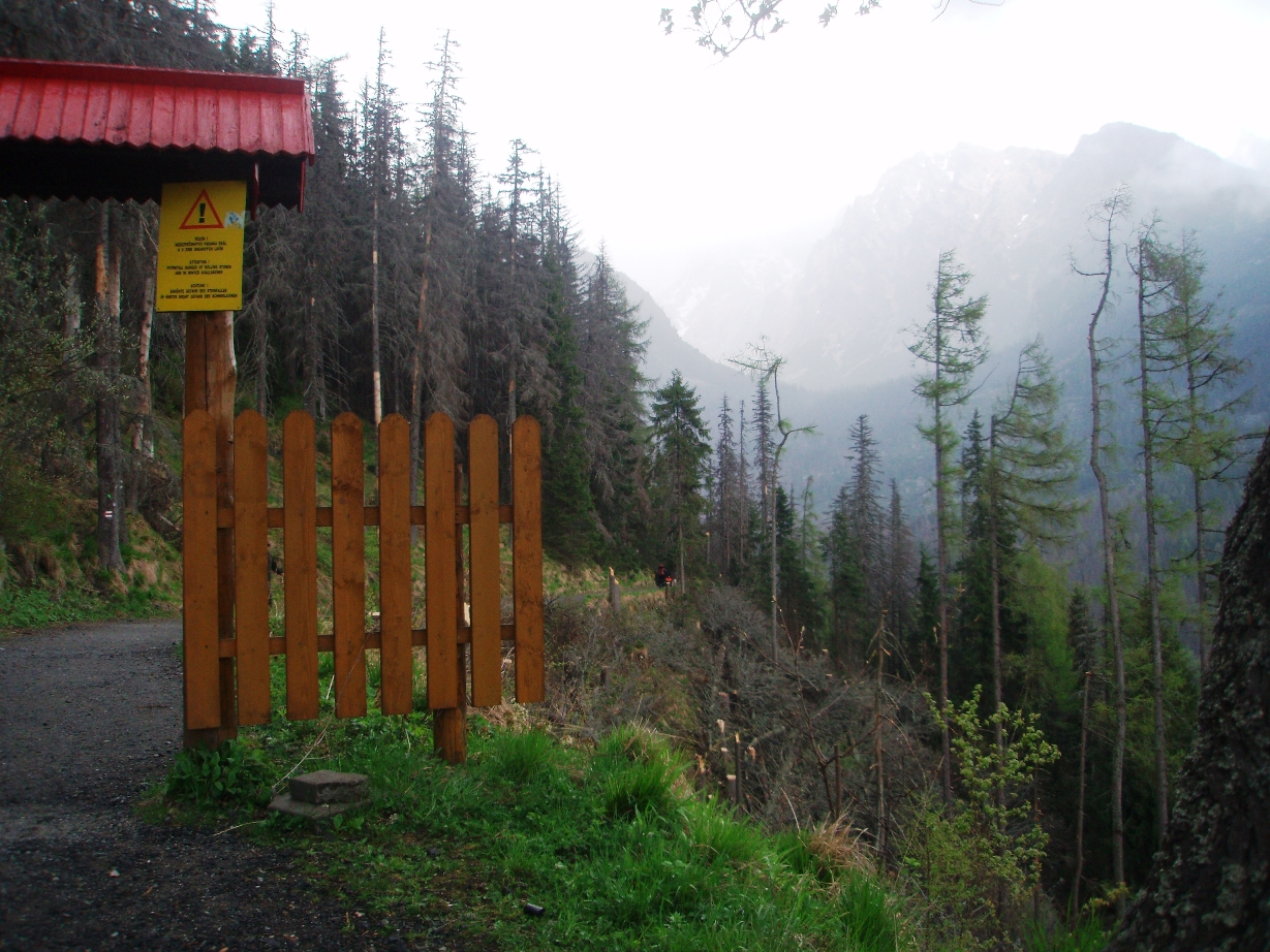Όλο το χαρτζιλίκι για το δάσος
