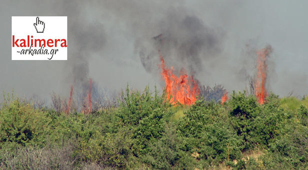Βίντεο-Πύρινη κόλαση στην Αρκαδία