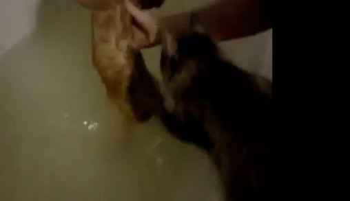 Θέλει να…σώσει το φιλαράκι της