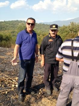 Εμπρησμός οι φωτιές στην Πέλλα