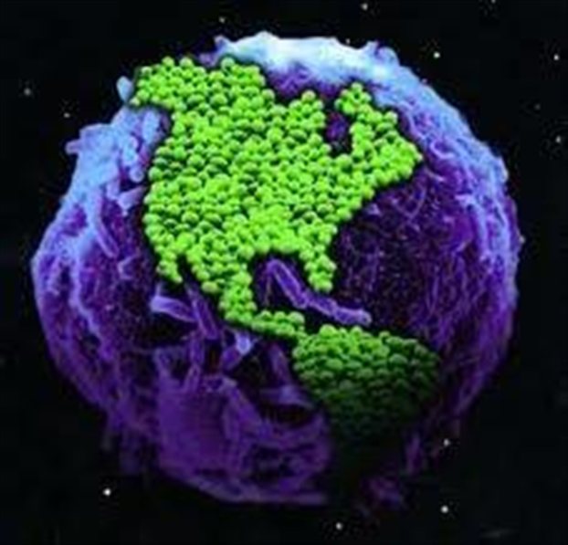 Σε…δίαιτα η συνολική μάζα ζωής