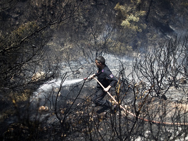 “Ελλειπής η δασοπροστασία”
