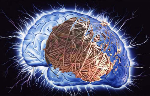 Ένα βιβλίο την ημέρα!