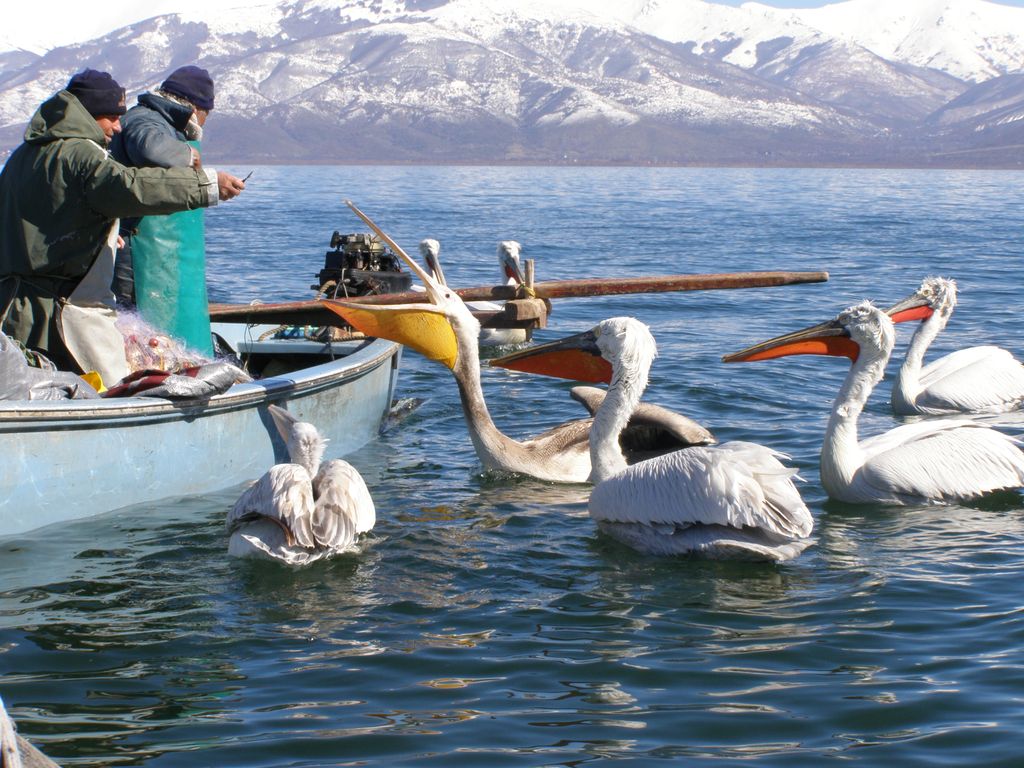 Ξεχάσανε τις Πρέσπες