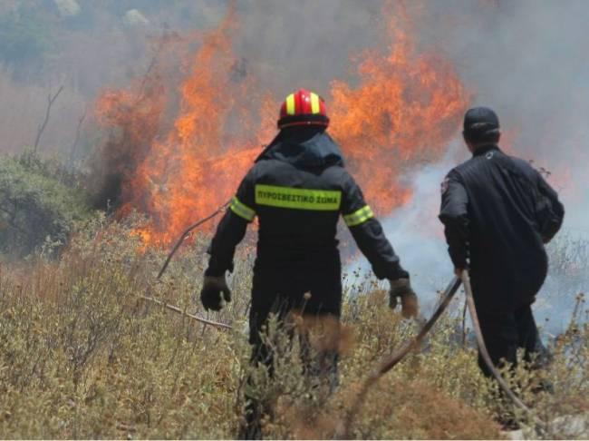 Σε ύφεση η φωτιά στο Πήλιο