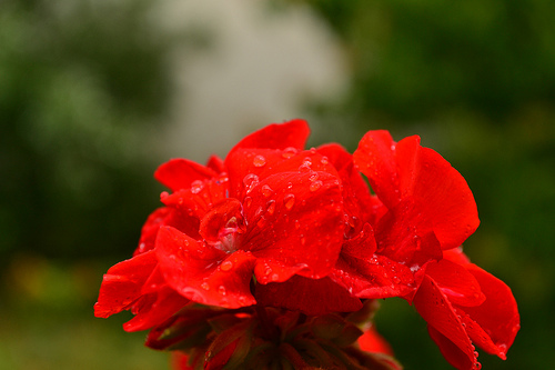 Δροσιά το απόγευμα