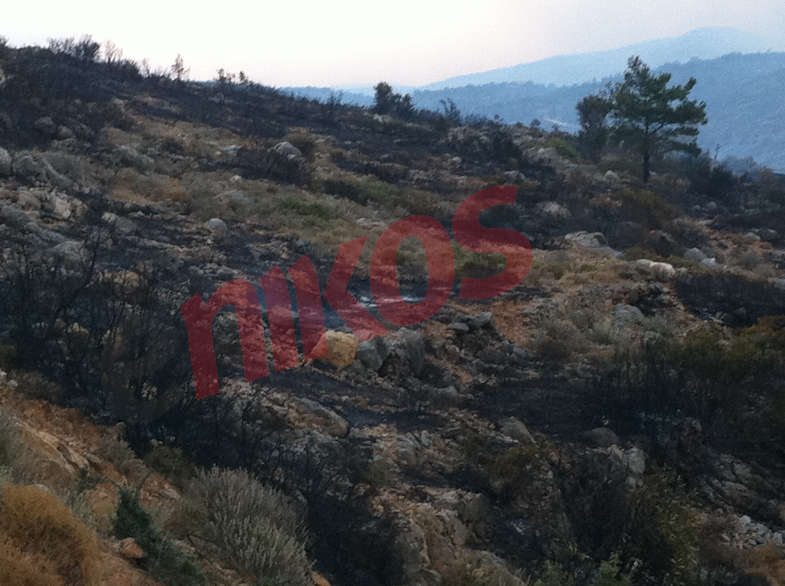 Φωτό από το Πυργί της Χίου