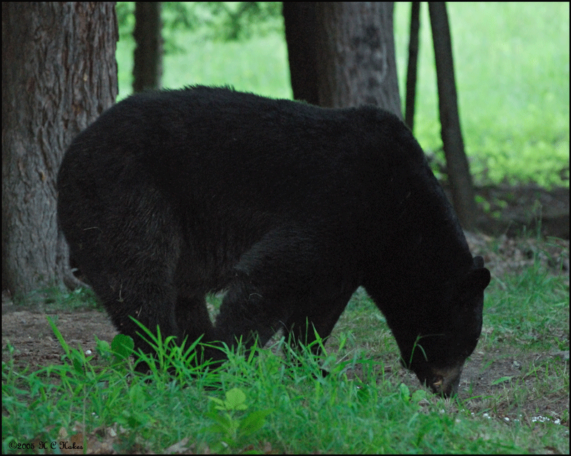 Δεν το σώζει με τίποτα…