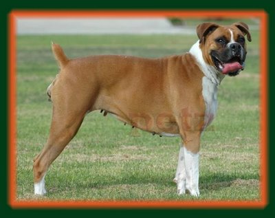 Αποτρόπαια πράξη