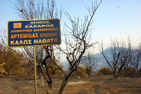 Ηλεία: Πέντε χρόνια μετά