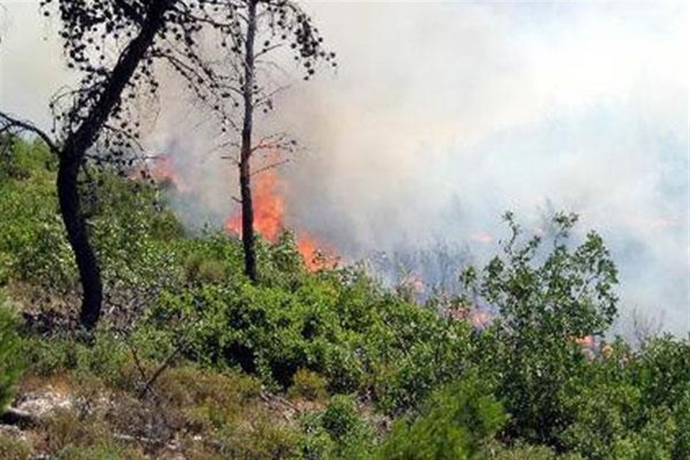 Πυρκαγιά στη Γλύφα