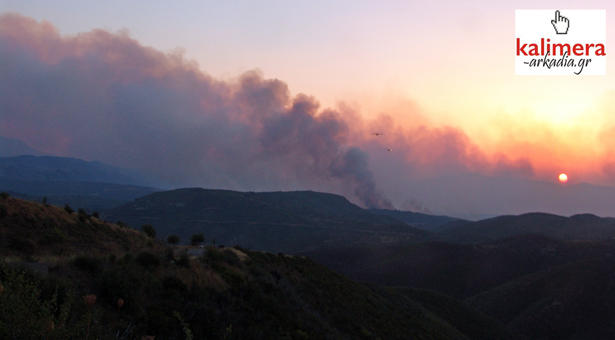 Aρκαδία-Στάχτη 27.000 στρέμματα