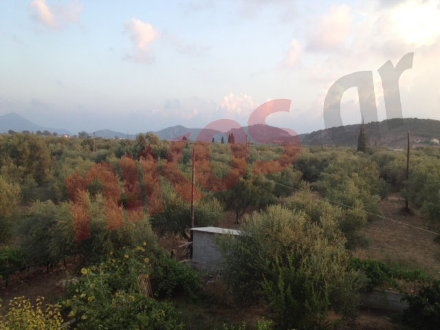 Οι αναγνώστες μας στη Βοϊδοκοιλιά