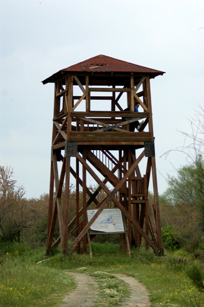 Βάνδαλοι κατέστρεψαν το πάρκο