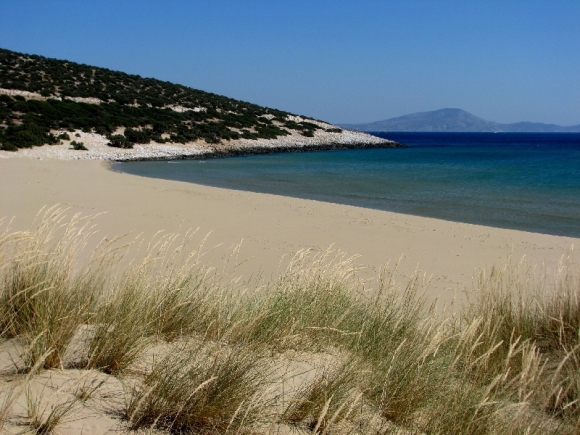 Ανατριχιαστικό εύρημα