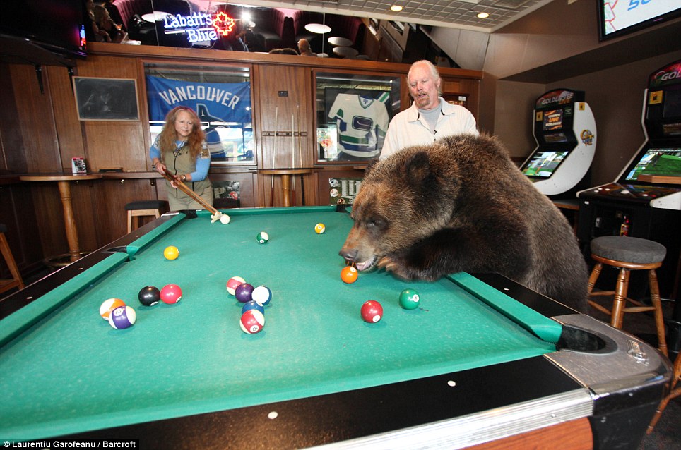 Με την αρκούδα στο μπαρ