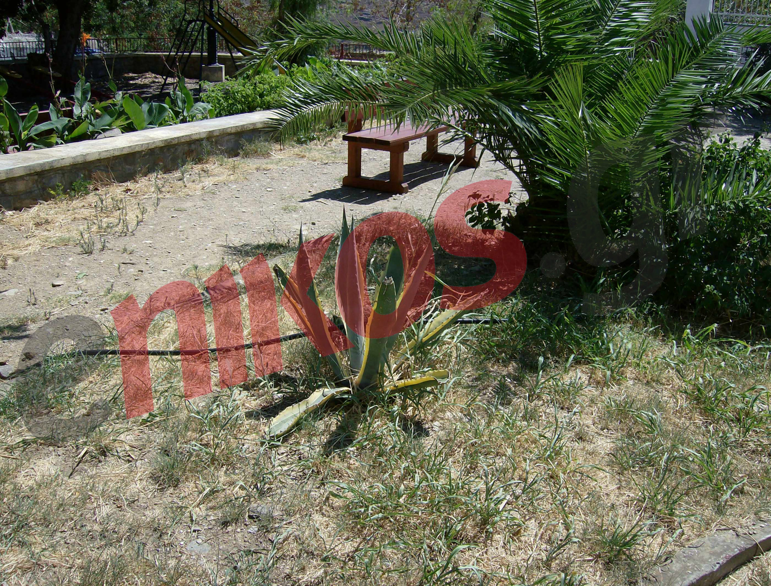 Παιδική χωρίς… χαρά