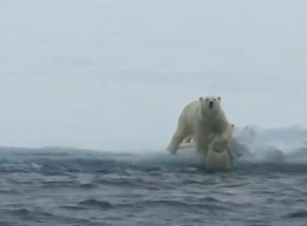 Η τρυφερότητα της μητέρας
