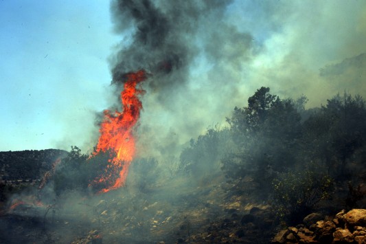 Τώρα-Φωτιά στο Δαμάσι Λάρισας