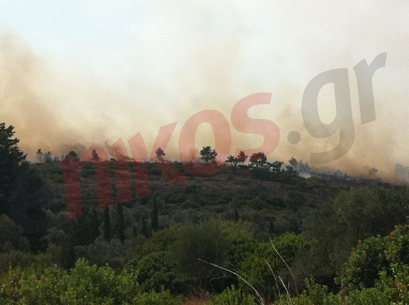 Τώρα-Φωτό από τη φωτιά στο Πυργί