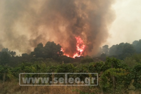 Διακοπή κυκλοφορίας