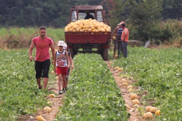 Αποζημιώσεις σε γεωργούς