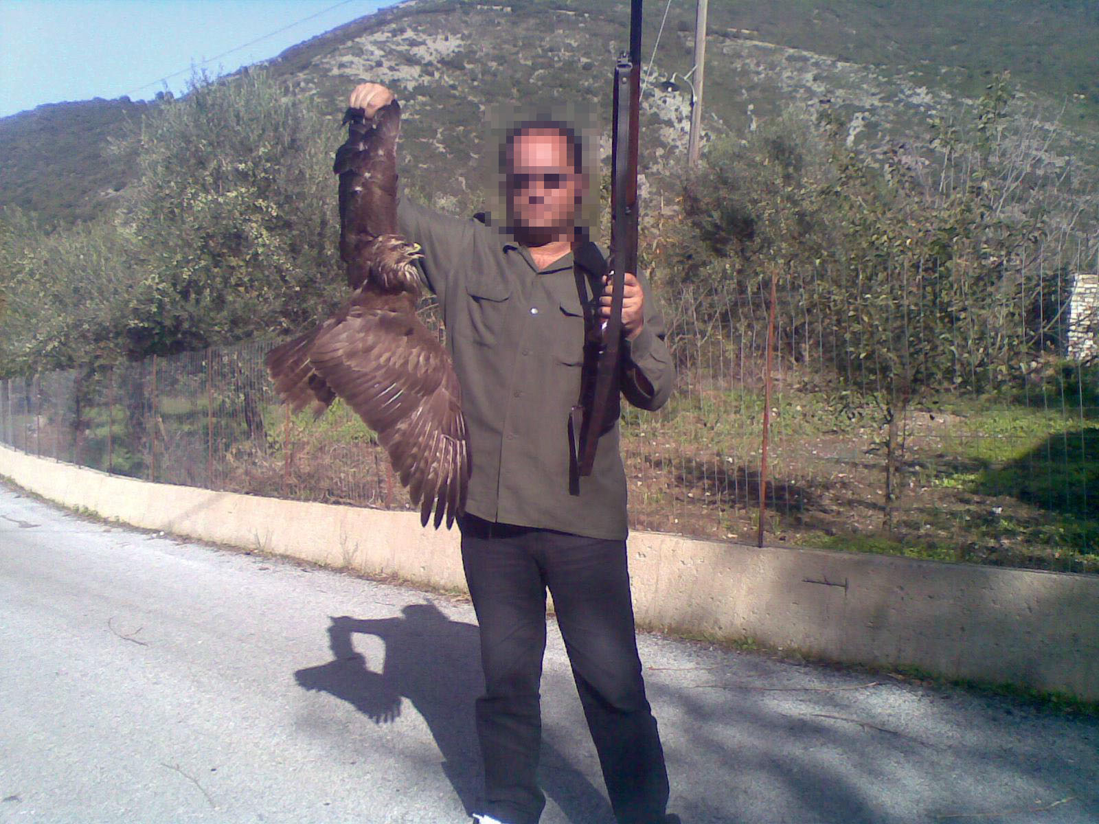 Σάλος με το γεράκι στο Facebook