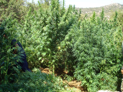 Τουρίστας με …φούντες