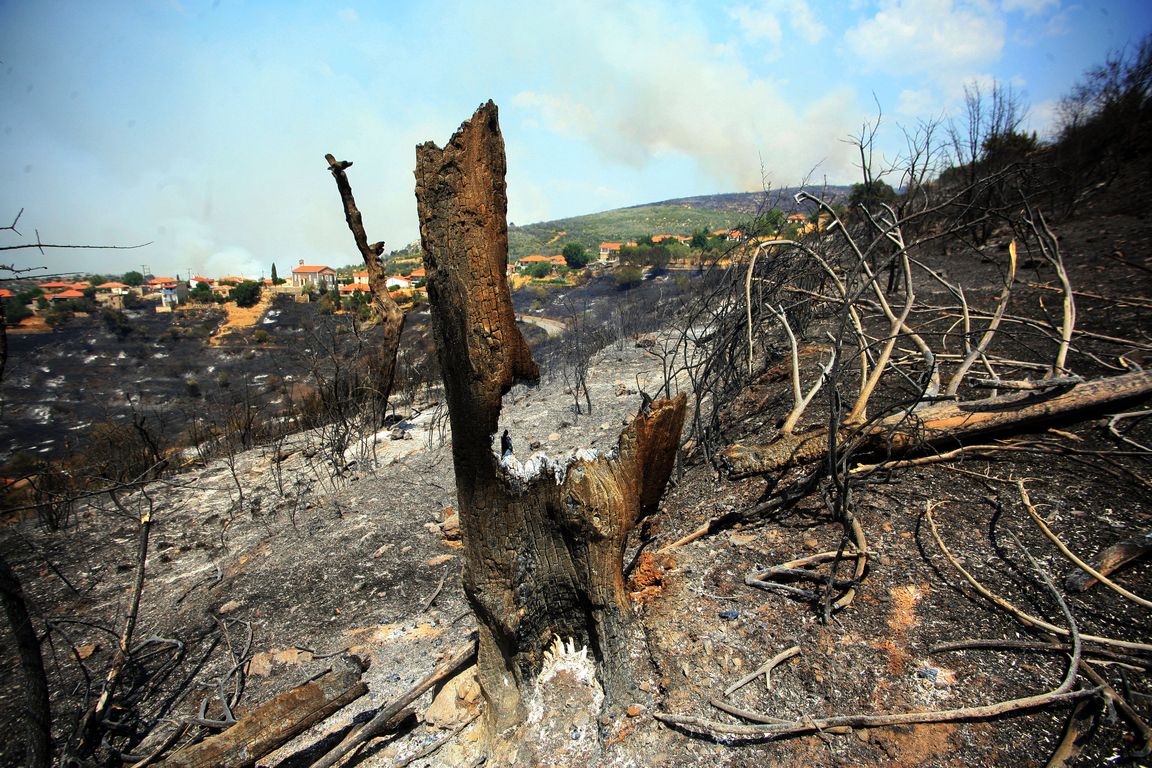 Χίος: Ο ΕΛΓΑ μετράει πληγές