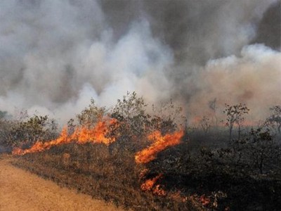 Τώρα-Πυρκαγιά στη Χίο