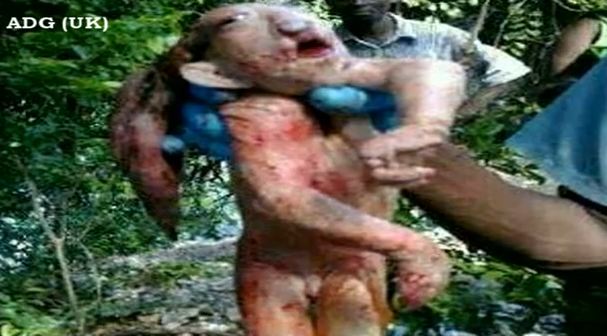 Βρέθηκε περίεργο πλάσμα