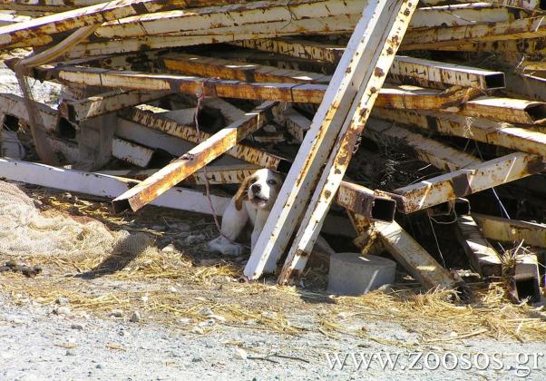 Δεμένα σε παλιοσίδερα