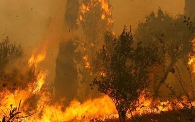 Αποζημιώσεις για τις φωτιές