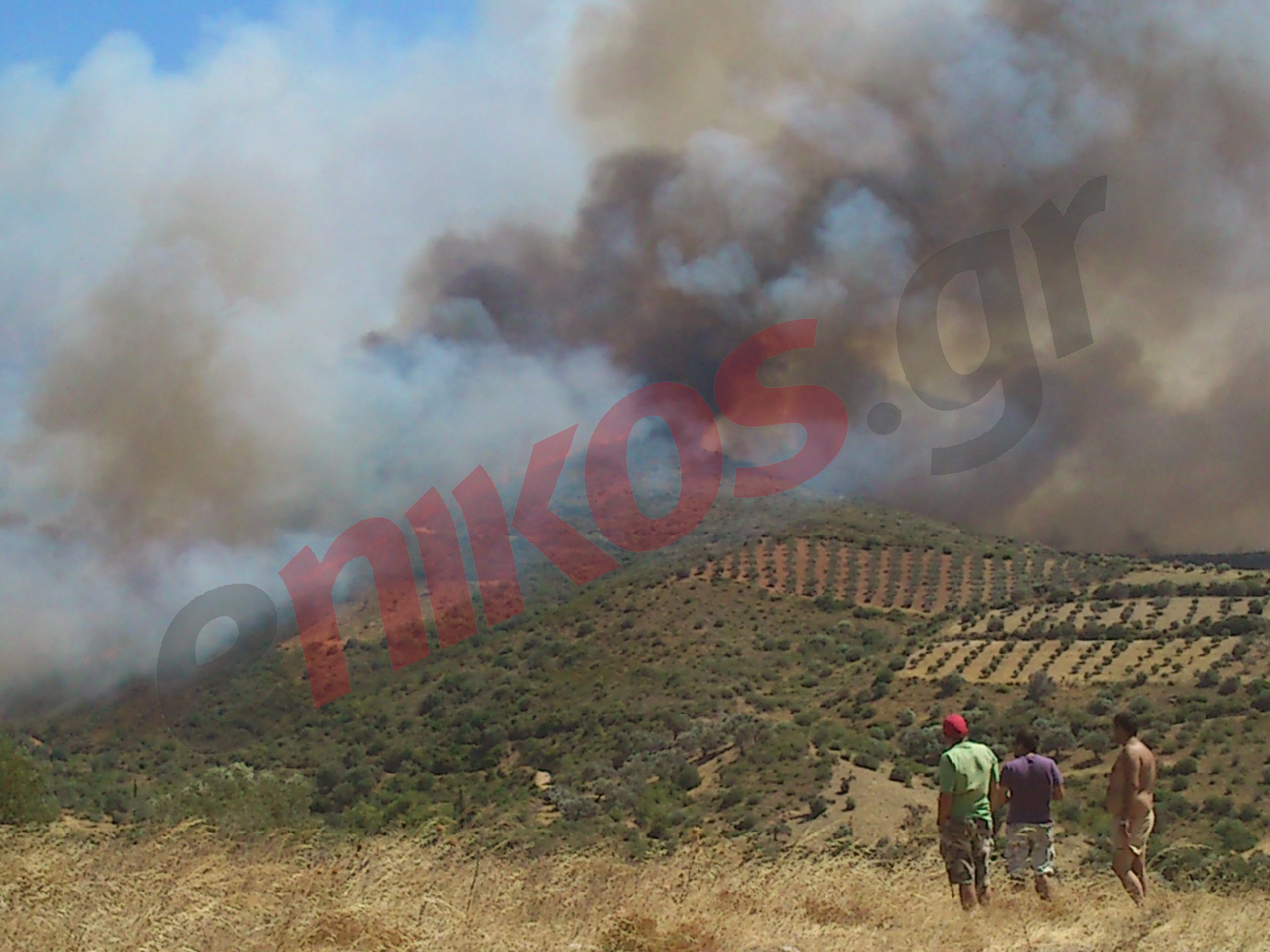 Τώρα-Φωτό από το Αυλωνάρι