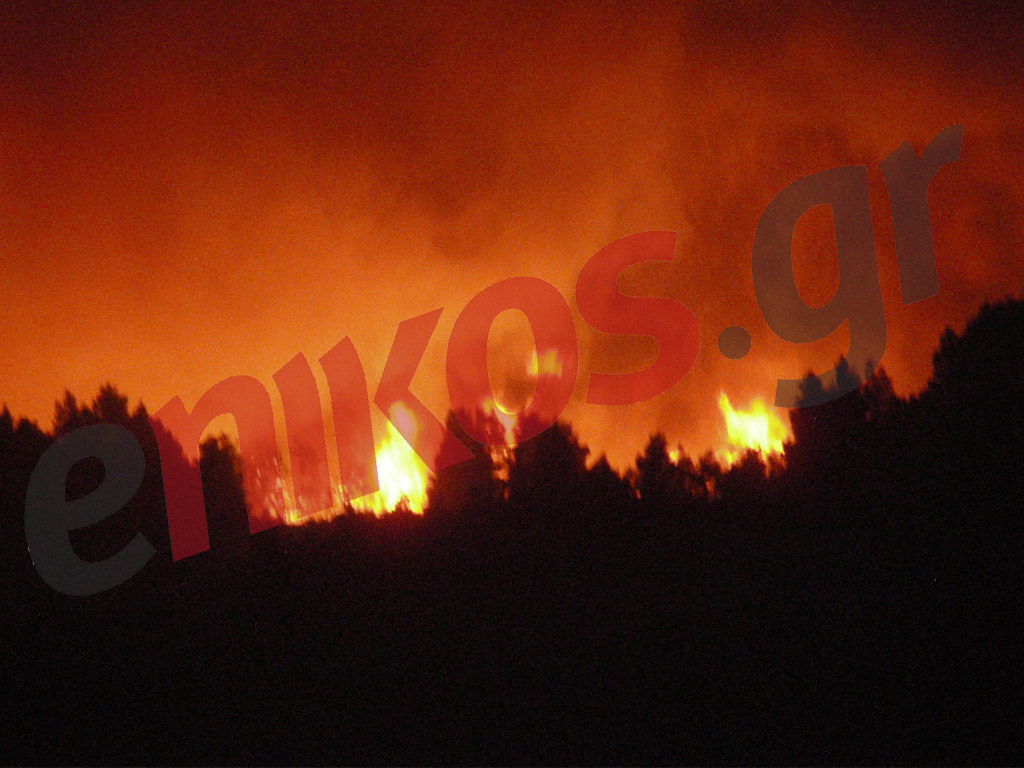 Αποζημιώσεις για τα καμένα