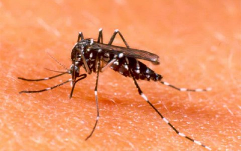 Έξαρση κρουσμάτων