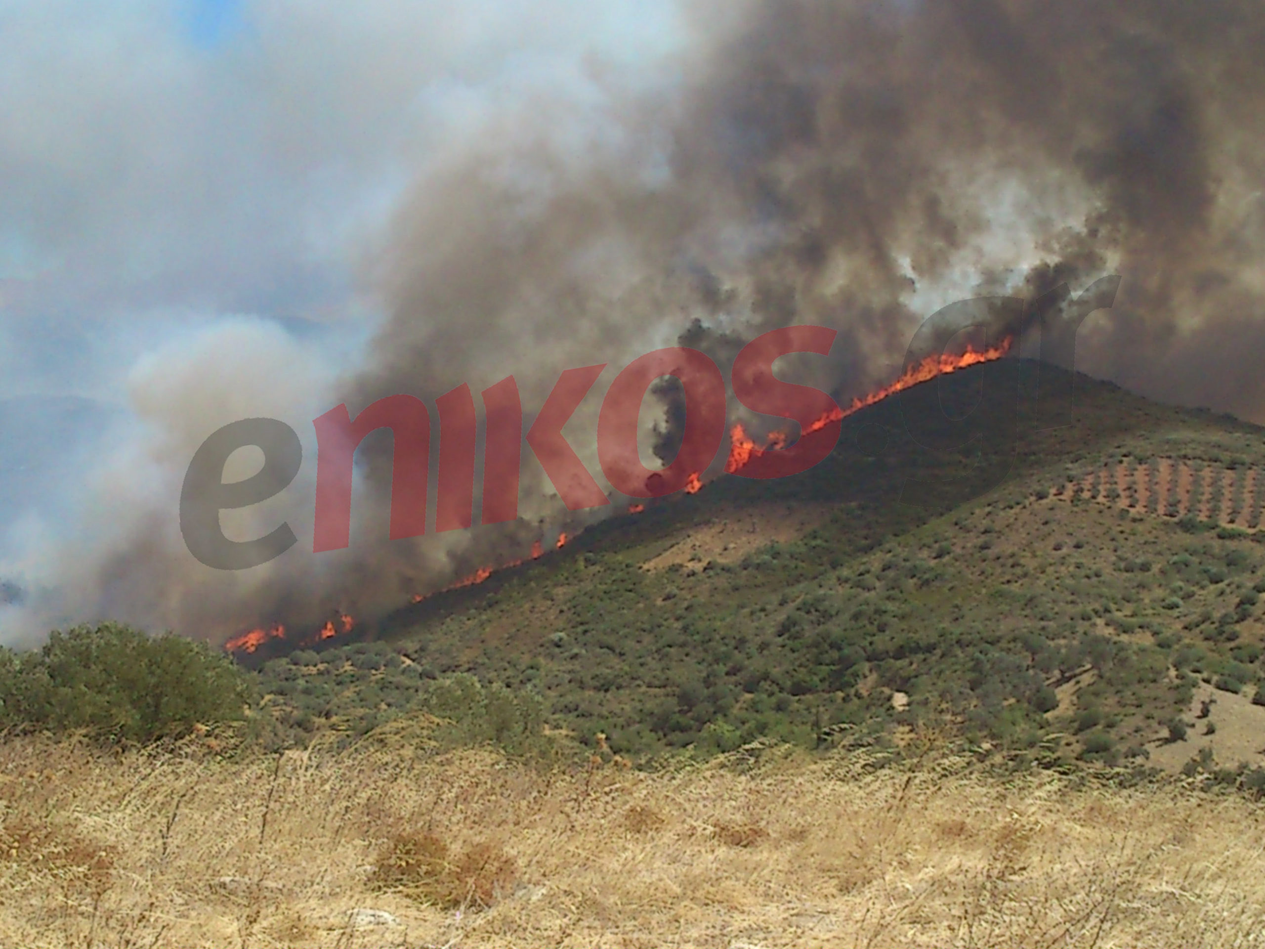 Τώρα-Η φωτιά στα 200μ. από το Αυλωνάρι