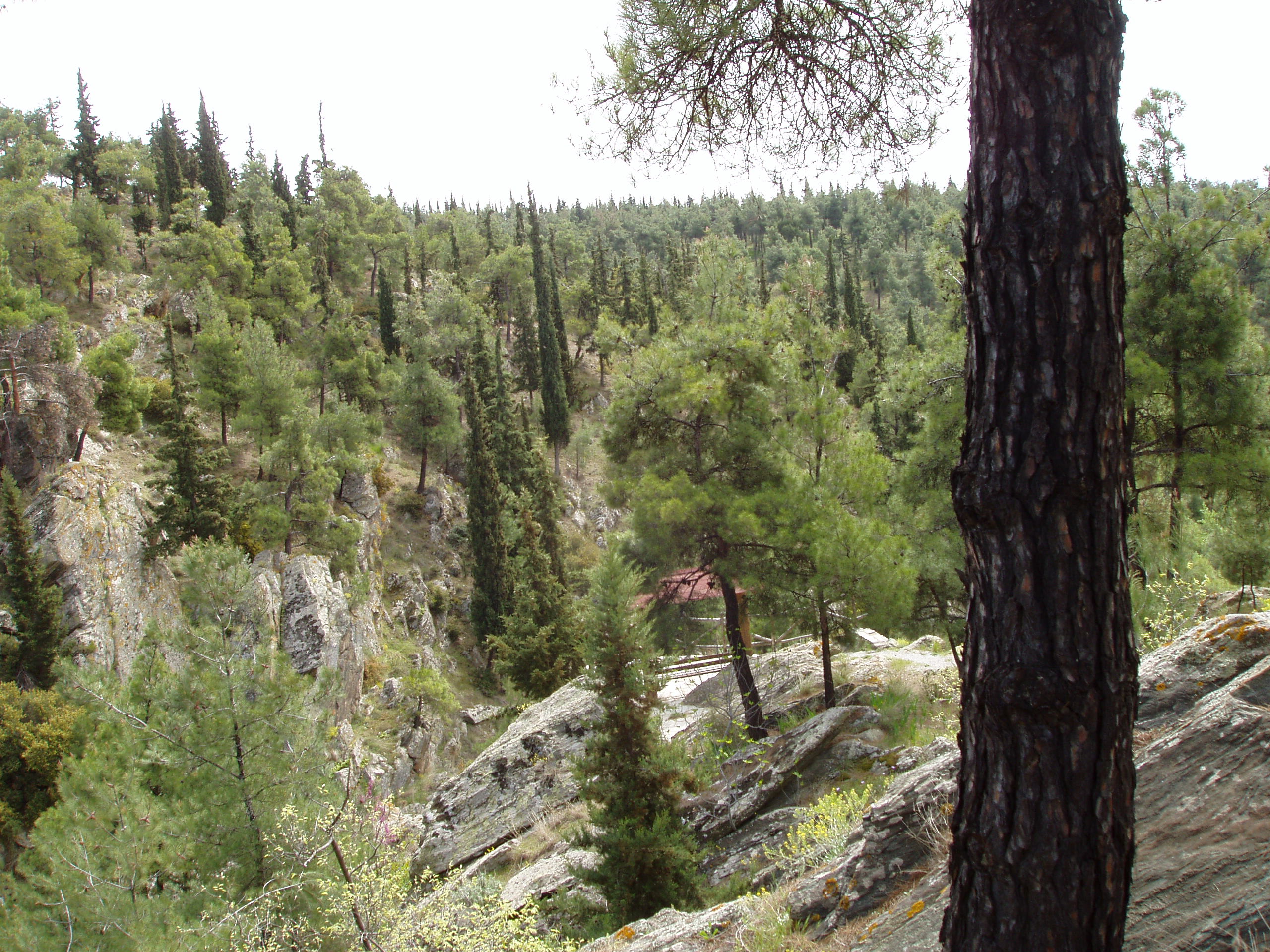 Προστατεύοντας το Σέιχ Σου