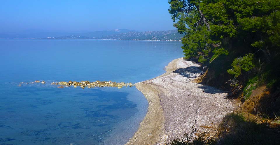 Χαλκιδική «ψηφίζουν» οι Τούρκοι