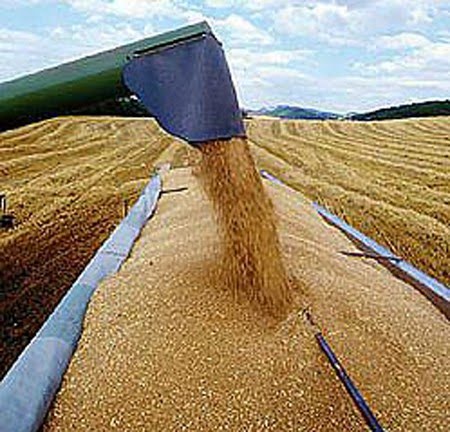 Ελπίδες για μείωση των τιμών