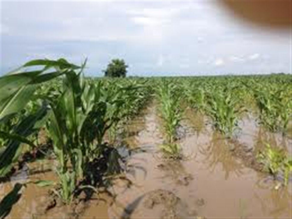 Καταστροφές στην Καρδίτσα